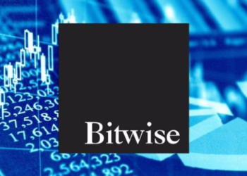 Bitwise 2024 Yılı İçin Tahminlerini Açıkladı; Rekor Bekleniyor