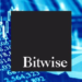 Bitwise 2024 Yılı İçin Tahminlerini Açıkladı; Rekor Bekleniyor