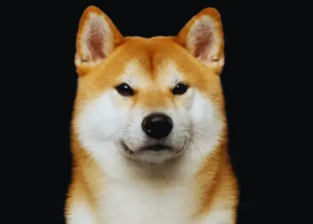 Shiba Inu Fiyatı Balina Faaliyeti Arasında Düşüyor, Neler Oluyor?