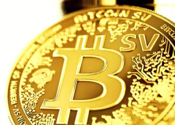 Bitcoin SV (BSV) Fiyatı Güne Damga Vurdu; Peki Ne Oluyor?