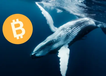 2021 Bitcoin Trendleri Geri Dönüyor: Eski Balinalar Uyanıyor