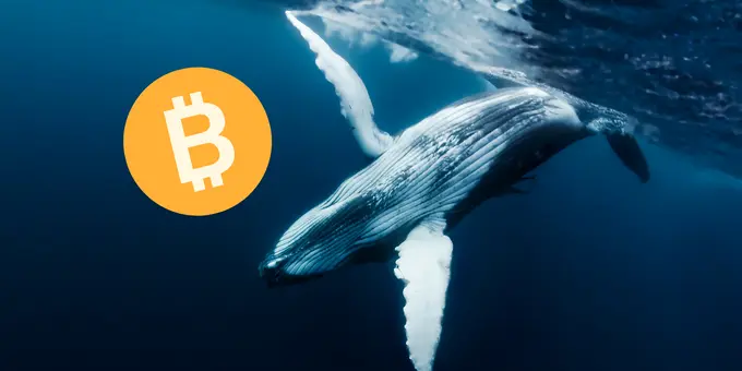 2021 Bitcoin Trendleri Geri Dönüyor: Eski Balinalar Uyanıyor