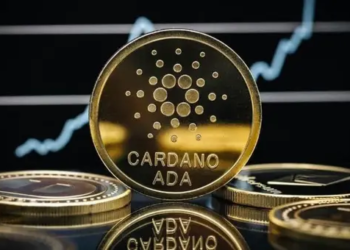 Cardano Yükseliş Dalgasını Sürdürüyor; Yükselen TVL ve Yeni Projeleriyle Gözler ADA'da