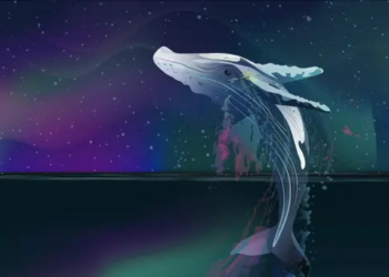 Boğa Sinyalleri: Balina Dinamikleri Aracılığıyla Kripto Piyasalarının Şifresini Çözmek Mümkün