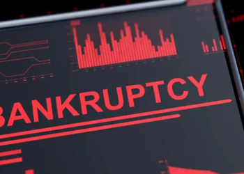 SafeMoon 7. Bölüm İflas Başvurusunda Bulundu; Tüm Detaylar