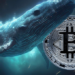 Bitcoin Balinaları Son İki Yılın Rekorunu Kırdı