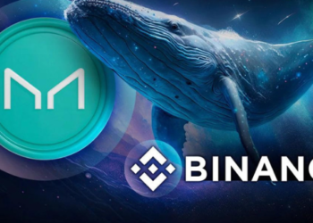 Maker Balinası Yıllar Sonra Harekete Geçti