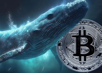 Bitcoin (BTC) Balinaları Varlıklarını Artırıyor