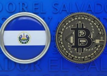 El Salvador Başkanı Nayib Bukele Bitcoin Kârı Hakkında Konuştu