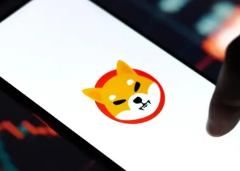 Shiba Inu Cephesinde Olağan Dışı Hareketlilik; İşte Bu Değer %454 Yükseldi