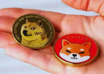 SHIB ve DOGE Piyasa Yükselişine Dahil Oldu; İşte Çılgın Yükselişe Dair Detaylar