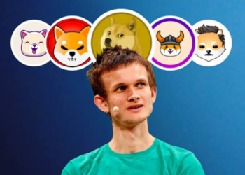Vitalik Buterin Bu Meme Token Hakkında Örnek Verdi; Fiyat Arrtı!