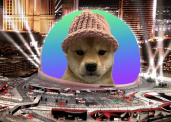 Dogwifhat (WIF) İçin Toplanan Bağış Yeni Rekorlar Getirdi