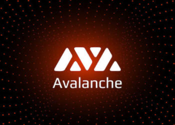 Avalanche Vakfı Yatırım Yaptığı 5 Meme Coini Açıkladı