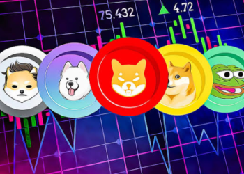 2024 Yılında 100 Kat Artış Potansiyeli Olan En İyi 5 Meme Coin