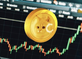 CatCoin Fiyatı Yüzde 4000’den Fazla Arttı; Neler Oluyor?
