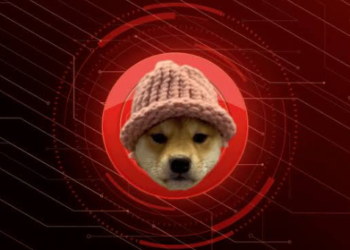 Binance Borsası Dogwifhat (WIF) Listeliyor