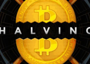 Bitcoin Cash (BCH) Yaklaşan Halving Öncesinde Yüzde 85 Arttı