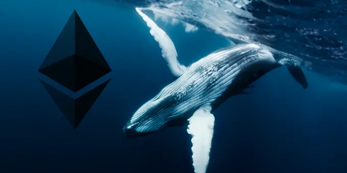 İşte Son Zamanlarda Balinaların Yüksek İlgisine Tanık Olan Ethereum Altcoinleri!