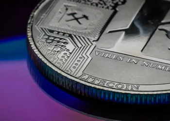 Litecoin Fiyatı 109 Dolara Ulaşarak Bir Yılın En Yüksek Seviyesine Yükseldi