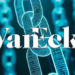 VanEck: Bu Altcoinler Trilyonluk Piyasa Değerine Ulaşacak
