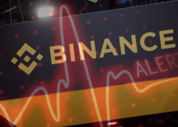 Bu 5 Altcoin Sahiplerinin Dikkatine: Binance Delist Edebilir!