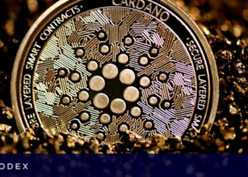 Cardano