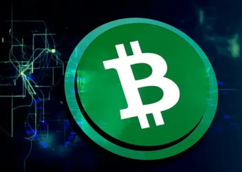 Bitcoin Cash, Haftalık %22 Fiyat Artışıyla BCH Halving'e Hazır