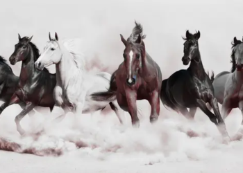 Popüler Ekonomist "Hızlı Atlara" Yatırım Zamanı Dedi, Bu 5 Kripto Para Birimine İşaret Etti