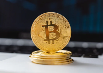 VanEck Raporu: 175 Milyar Dolarlık Bitcoin Tutuyorlar!