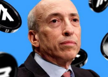 SEC Başkanı Gensler’in Övdüğü Algorand Yatırımcıları Zararda