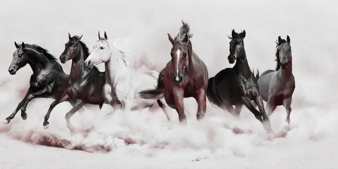 Altcoinlerin Çift Haneli Yükselişi Yükseliş Tahminlerini Ateşledi