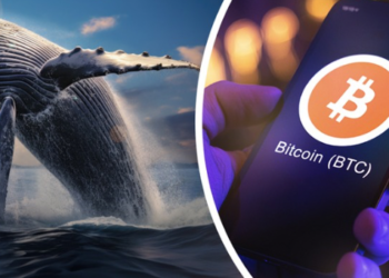Bitcoin Balinaları Düşüşü Fırsata Çevirdi; Milyar Dolarlık Alım!