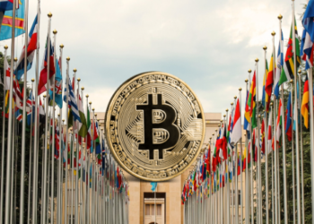 Ülkelerin Elinde Bulundurduğu Bitcoin Miktarları