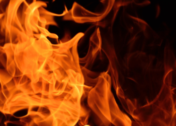 Bitget Borsası Büyük Yakım Planını Açıkladı